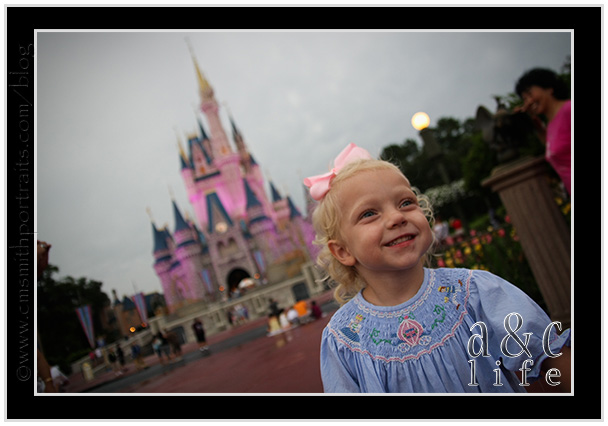 Disney08_09-031 Disney08_09-031